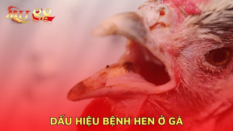 Dấu hiệu bệnh hen ở gà