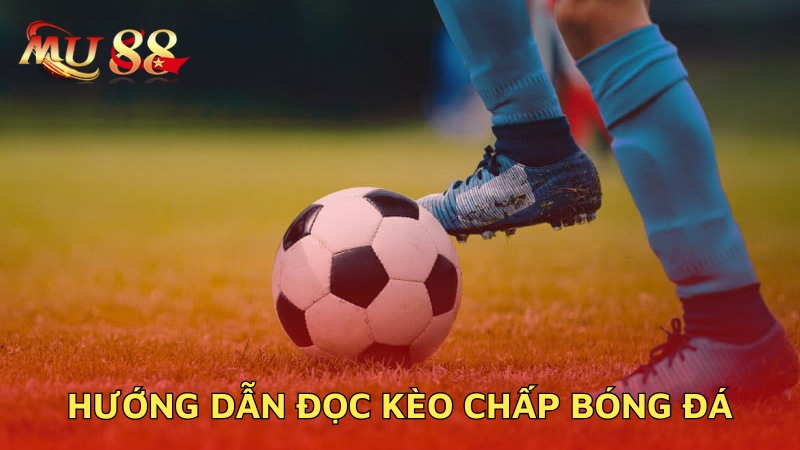 Hướng dẫn đọc kèo chấp